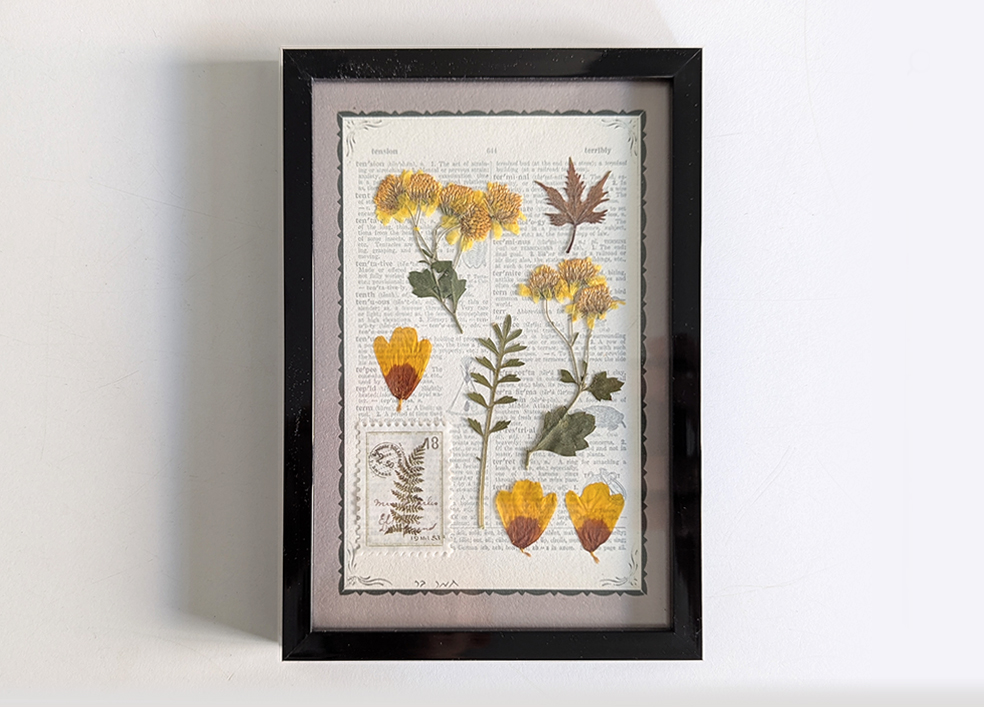 תמונת צמחים מיובשים