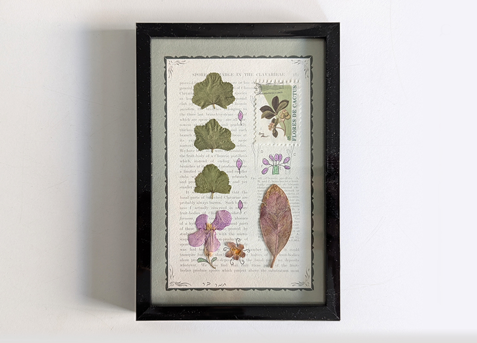 תמונת צמחים מיובשים