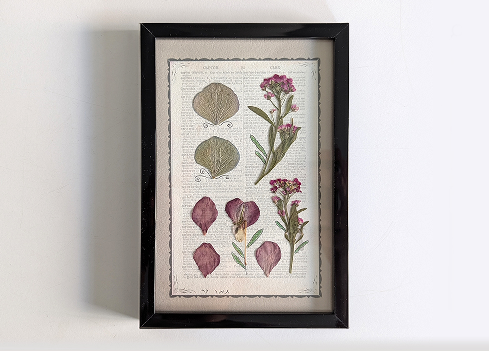 תמונת צמחים מיובשים