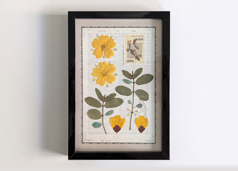 תמונת צמחים מיובשים