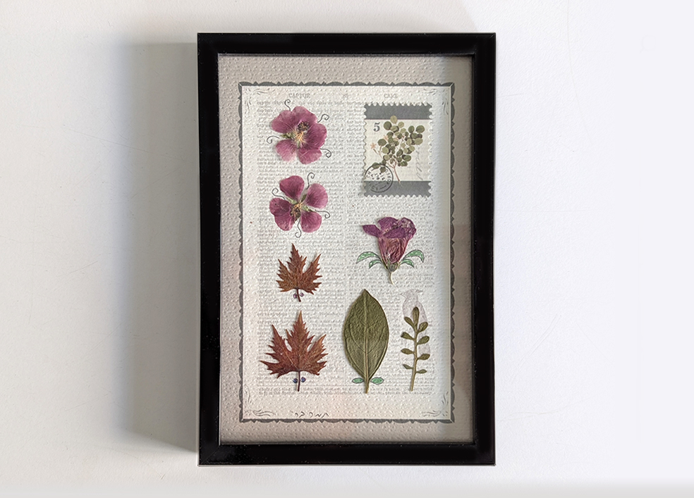 תמונת צמחים מיובשים